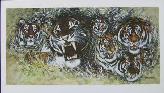 158257077_bruce-matteson-bengal-tigers-signed-a-p-art-litho.jpg