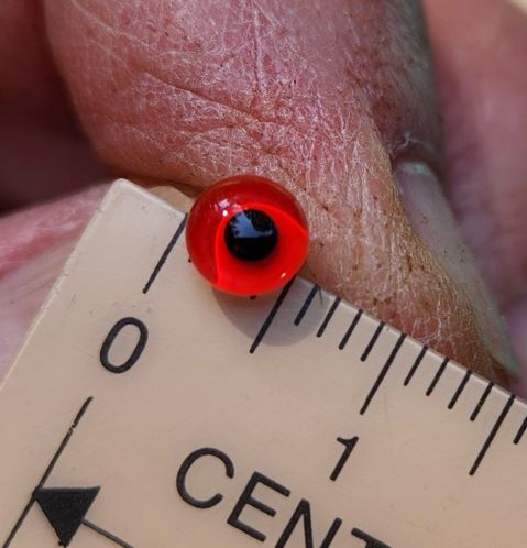 5mm red eye 2.jpg