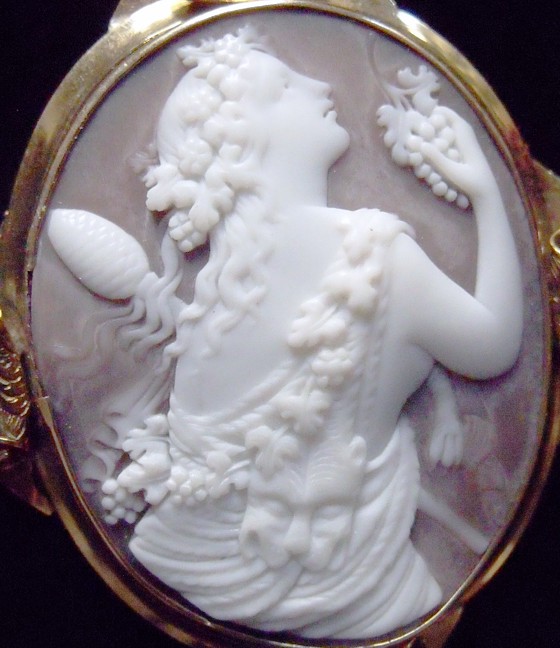 A9 Shell Bacchante 1.jpg