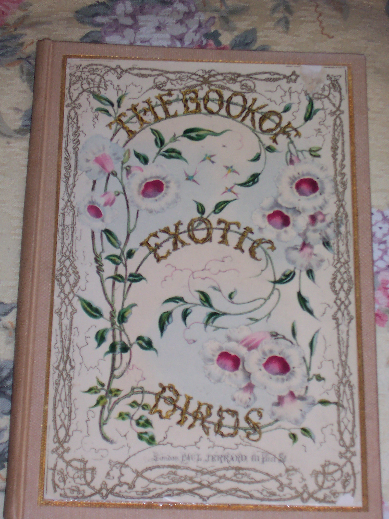 Antiquers Board Bird Book & Small Cloth 012.jpg