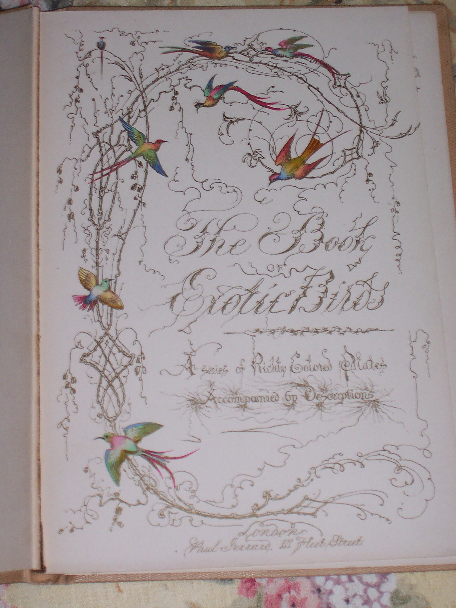 Antiquers Board Bird Book & Small Cloth 014.jpg