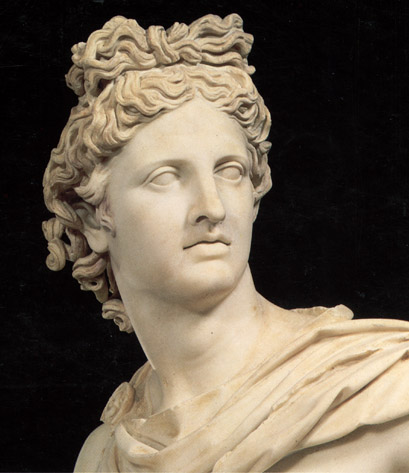 apollo belvedere head 1.jpg