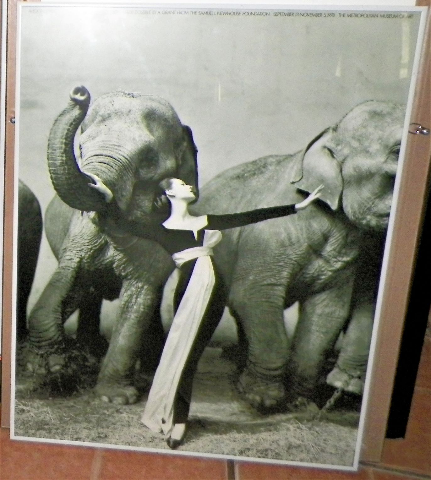 ART POSTER AVEDON RICHARD PHOTOGRAPHER ELEPHANTS  DOVIMA WITH ELEPHANTS 1AA.JPG