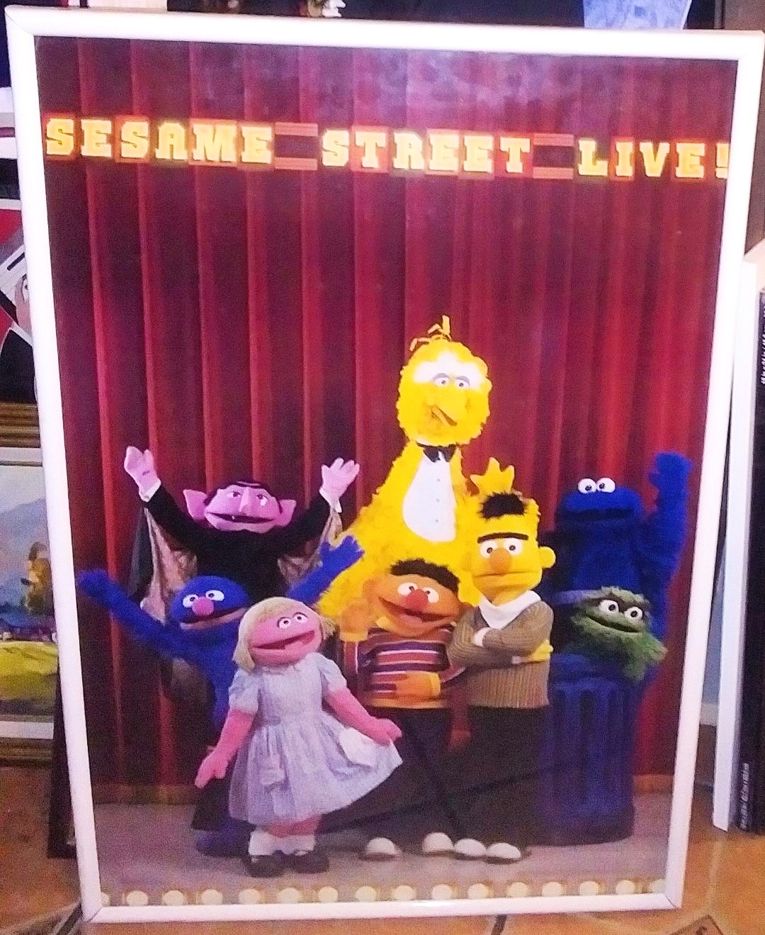 ART POSTER SESAME STREET LIVE 1AA.jpg