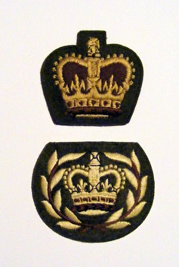 BADGES 001 001-001.JPG