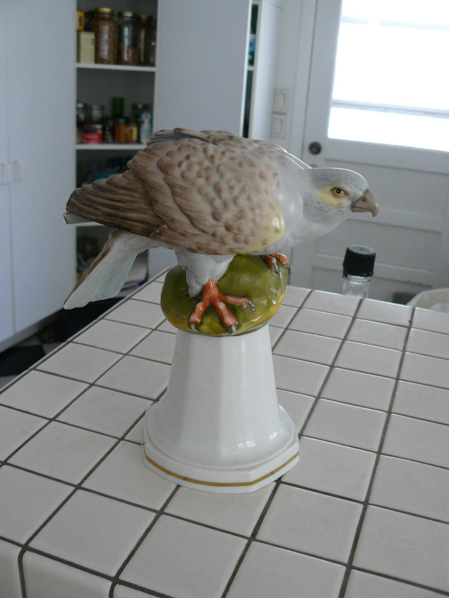 bird2.jpg