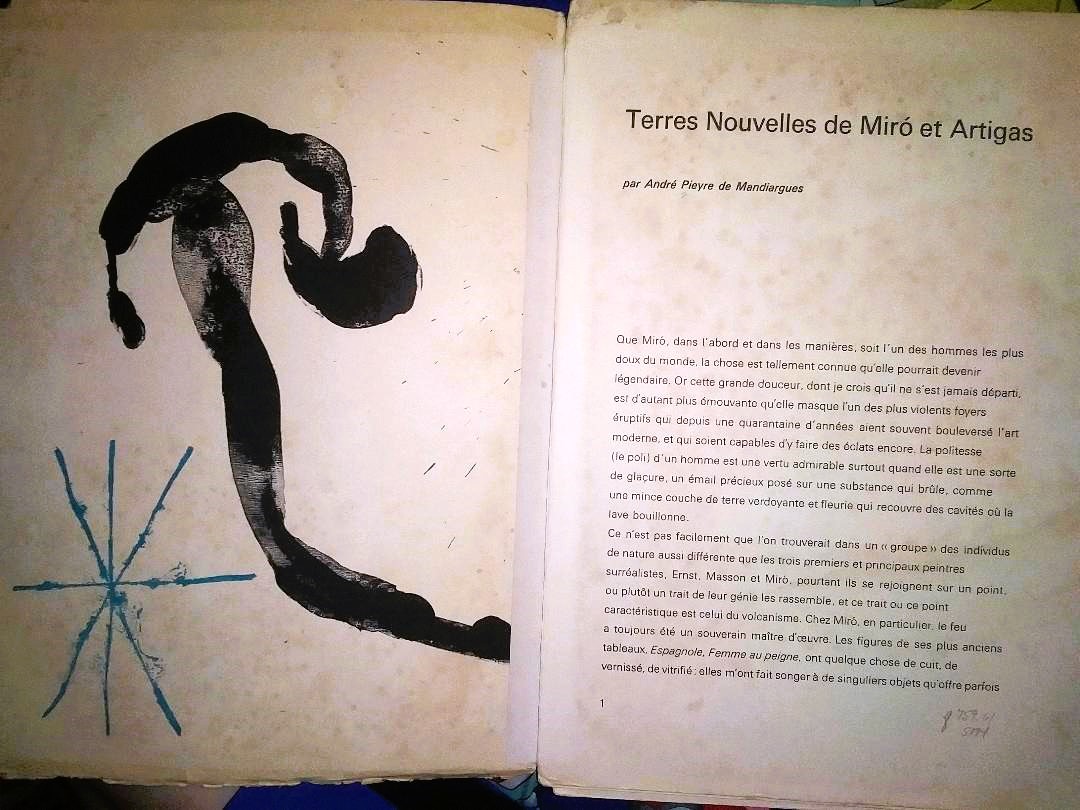 BOOK ART MIRO ARTIGAS 5AA.jpg