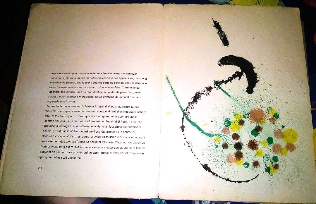 BOOK ART MIRO ARTIGAS 7CAA.jpg