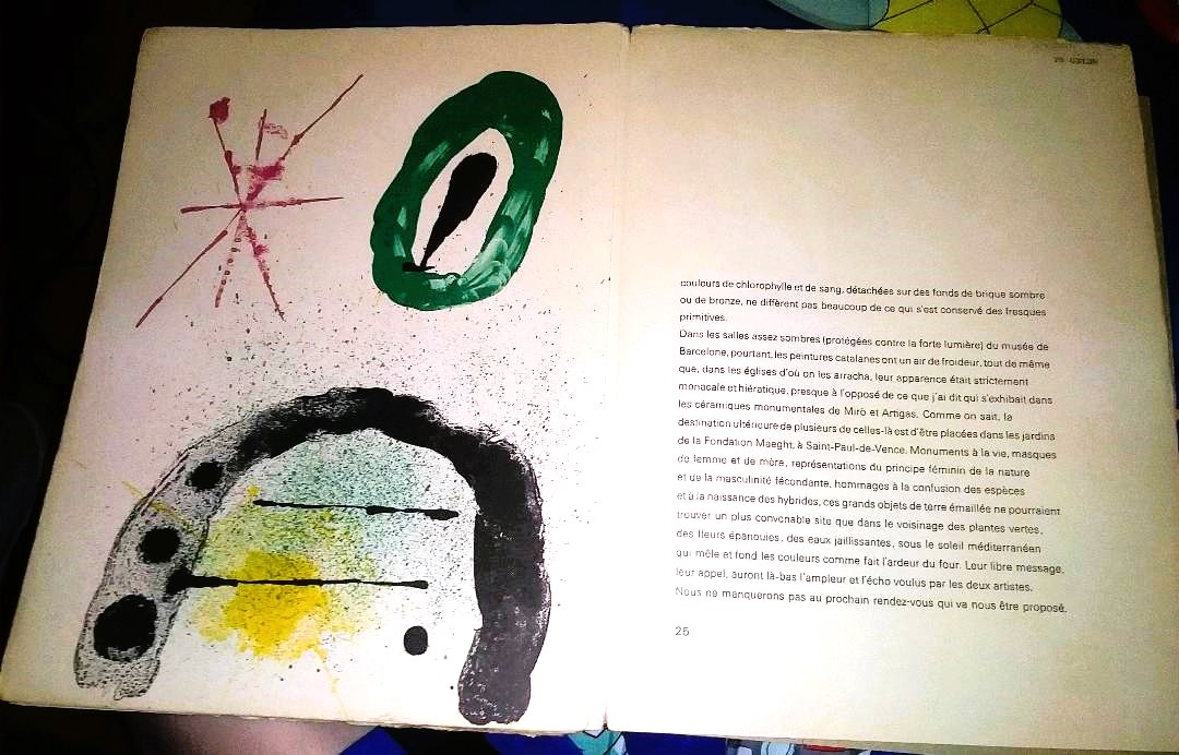 BOOK ART MIRO ARTIGAS 7DAA.jpg