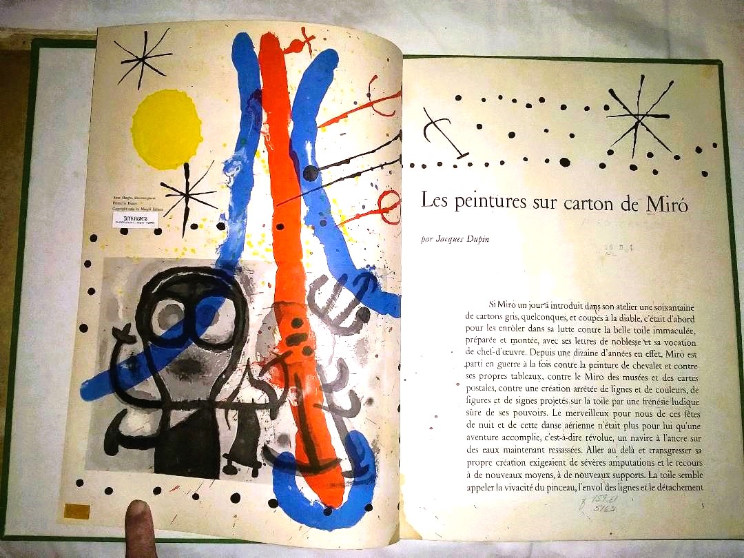 BOOK ART MIRO CARTONS 1CAA.jpg