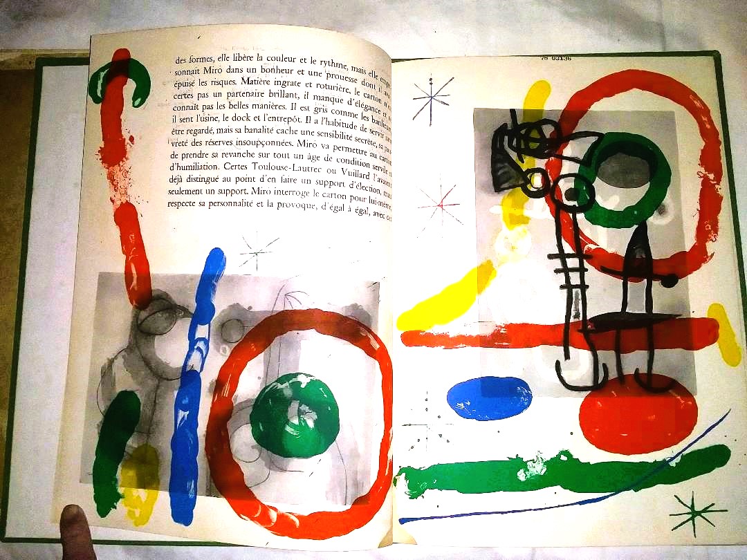 BOOK ART MIRO CARTONS 2AA.jpg