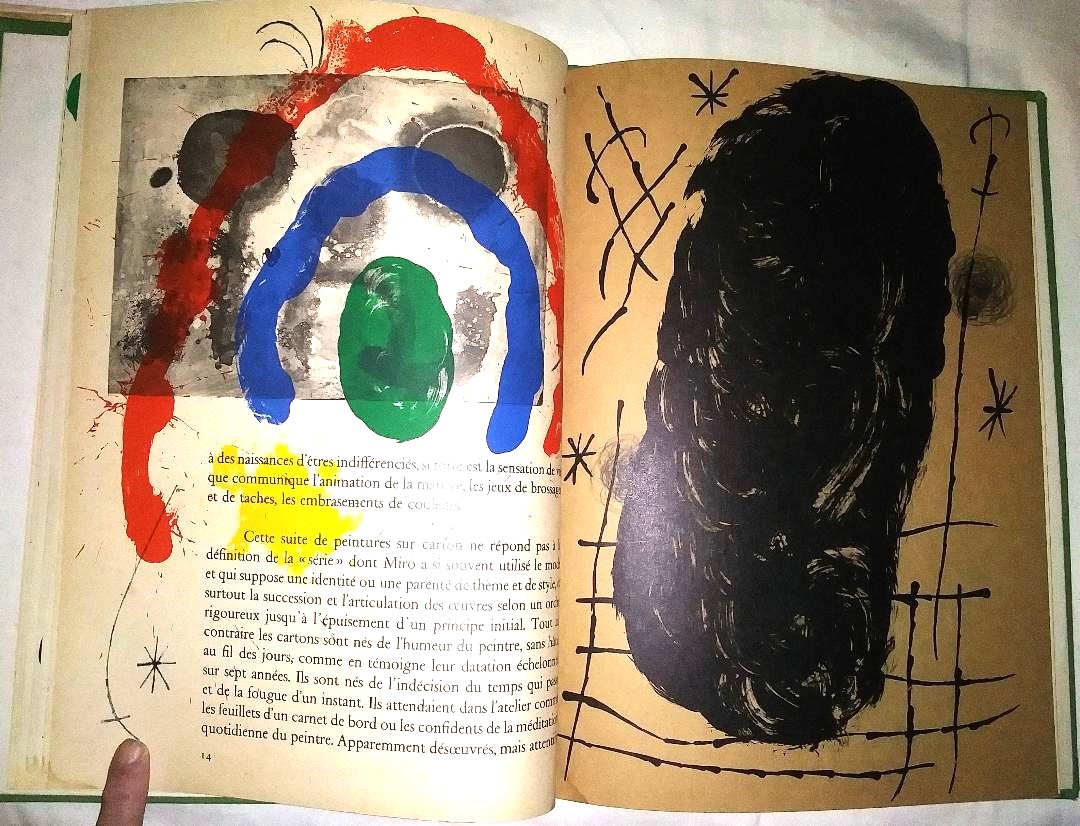 BOOK ART MIRO CARTONS 6BAA.jpg