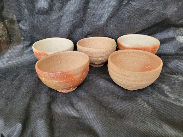 bowls1.jpg