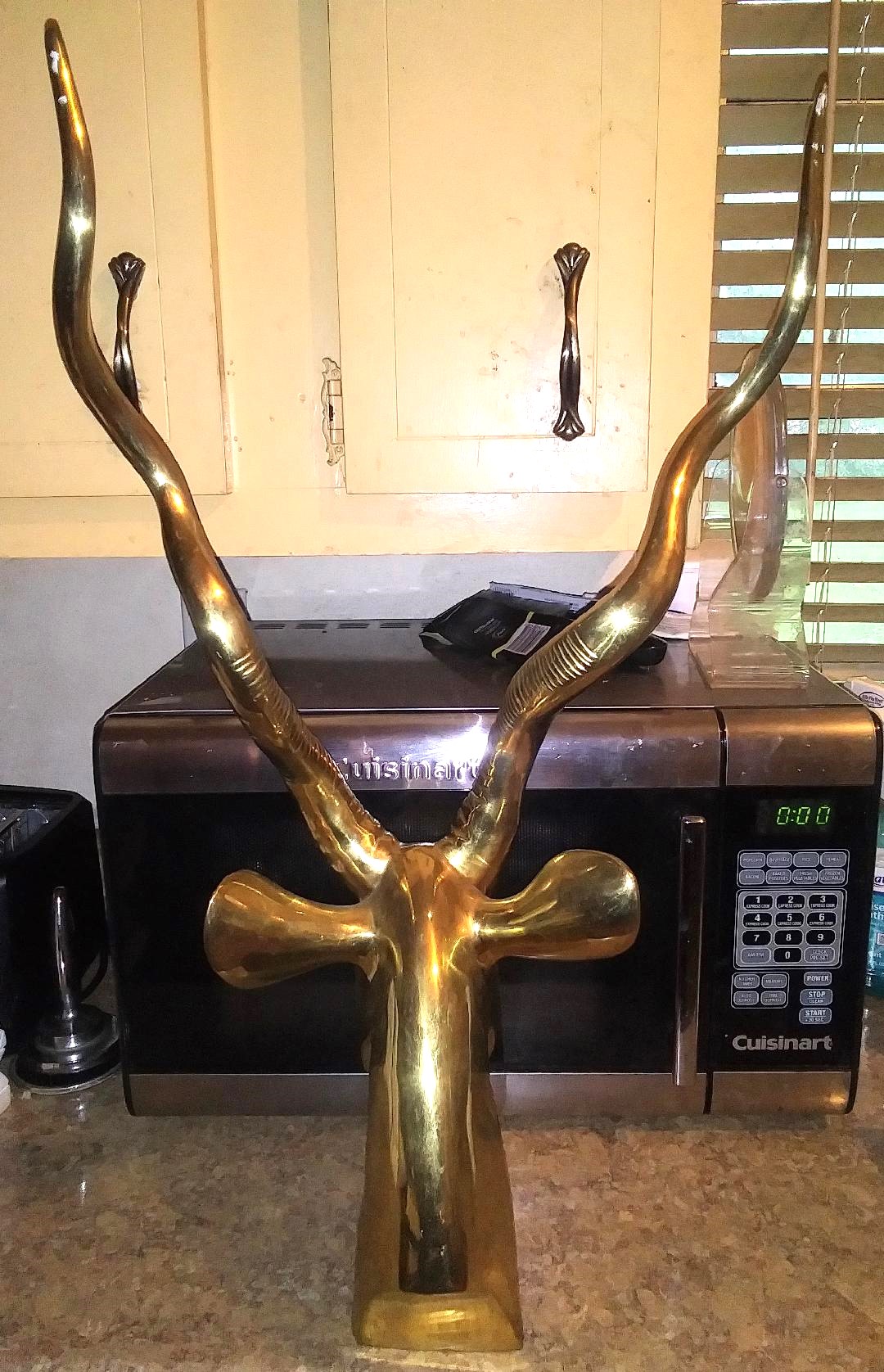 BRASS ANTELOPE 8AAAA.jpg