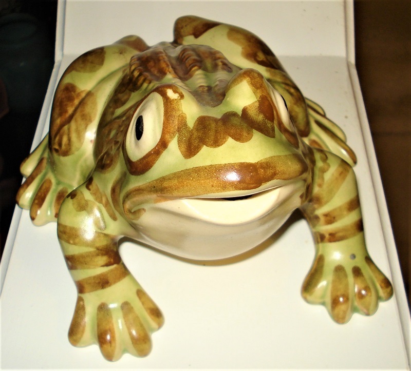 brush mccoy froggy.jpg