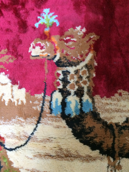 camel carper closeup3.png