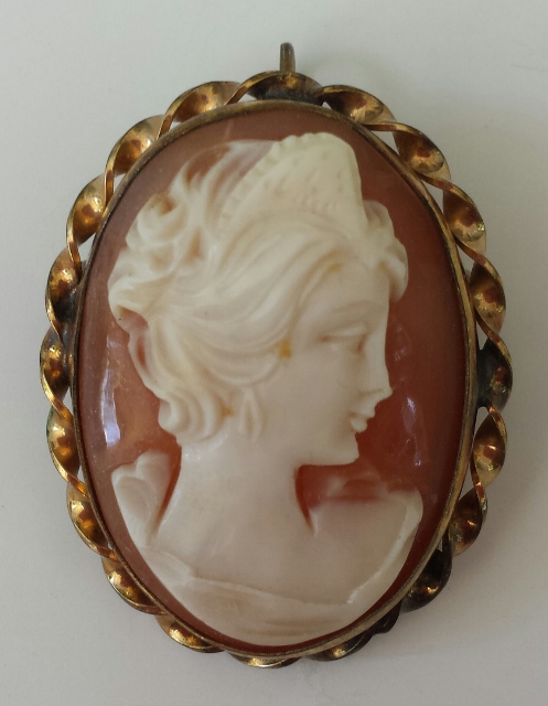 Cameo GF brooch.jpg