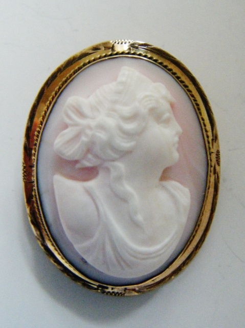 Cameo Queen Conch Shell (479x640).jpg