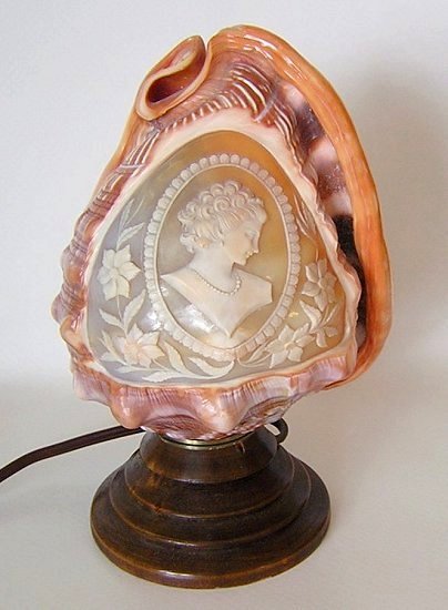 CameoCarvedRufusCassisConchShellLamp-a.jpg