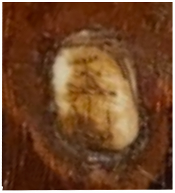 carved mark.jpg