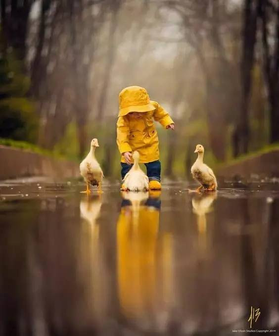 child with ducks in the rain.jpg