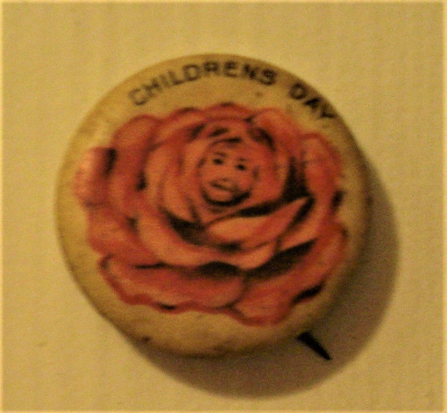 childrens day rose pin.jpg