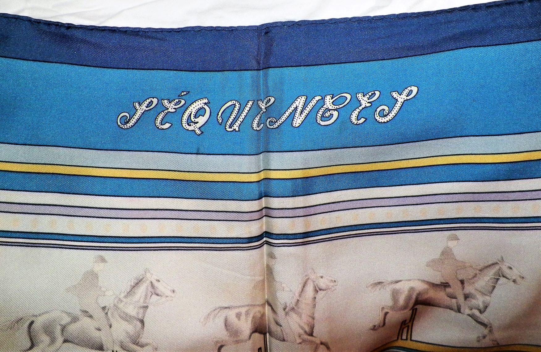 CLOTHES SCARF HORSES BLUE 2AAZZ.jpg