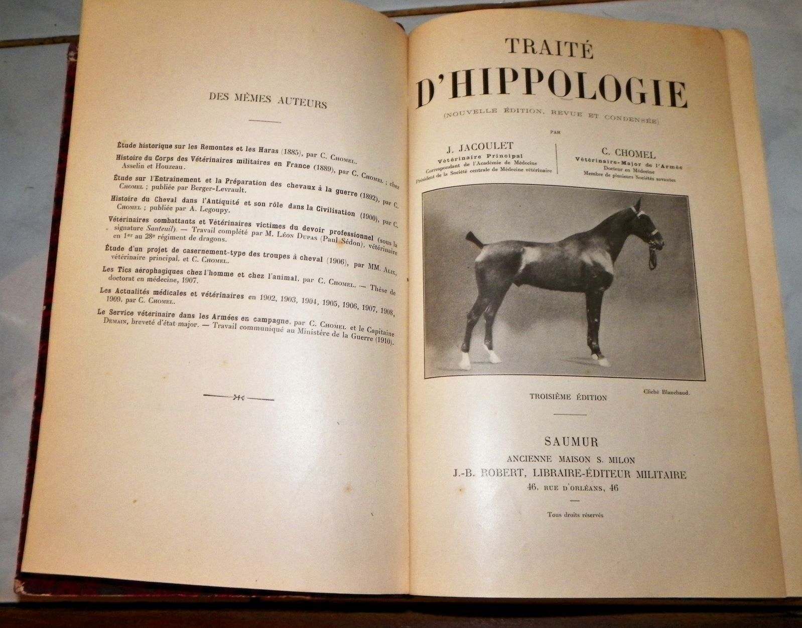 COLLECTIBLE BOOK ANTIQUE HORSE SHOW DRESSING RIDING A GROUP 1AA.JPG