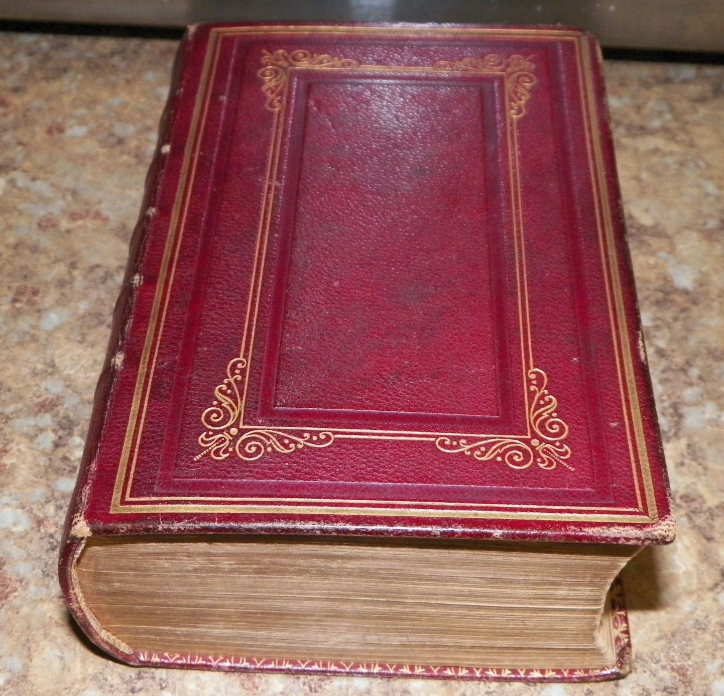 COLLECTIBLE BOOK BIBLES & TORAHS BIBLE BIG RED LEATHER COVER 2A_A.jpg