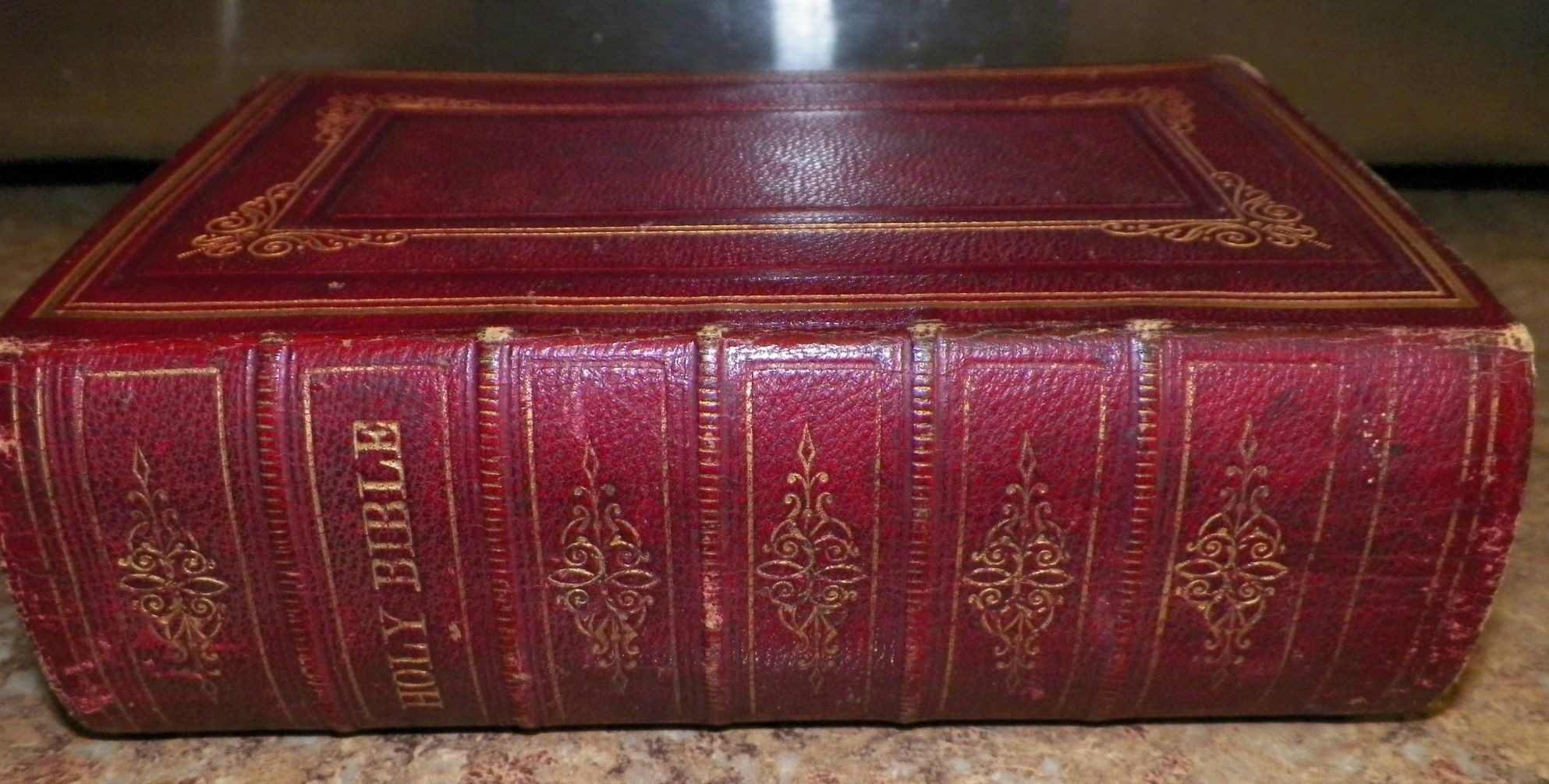 COLLECTIBLE BOOK BIBLES & TORAHS BIBLE BIG RED LEATHER COVER 2A_AA.jpg