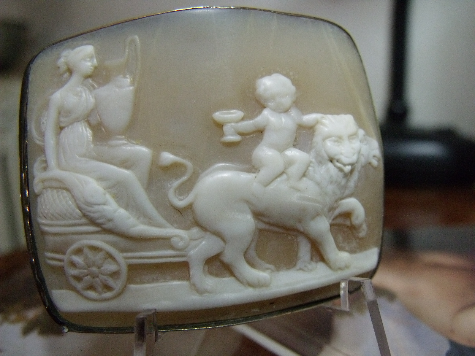 Cybele cameo (1).JPG