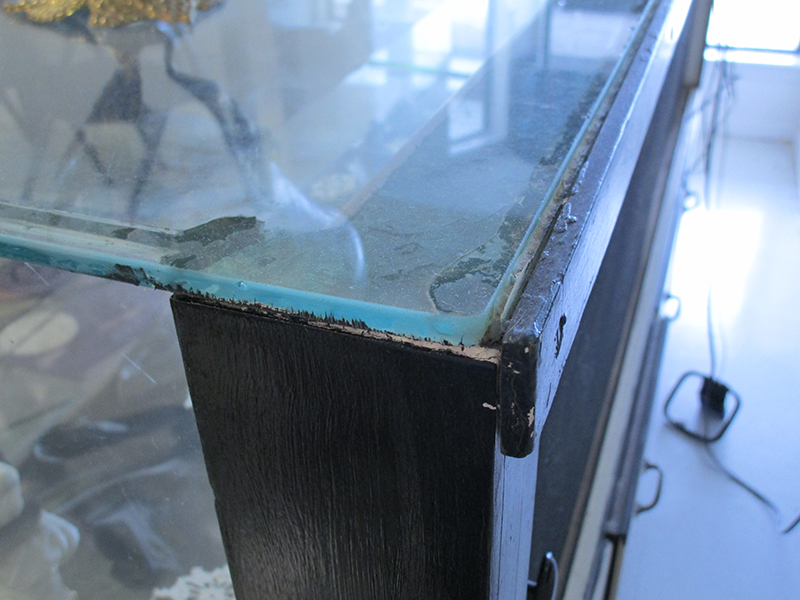 display case3.jpg