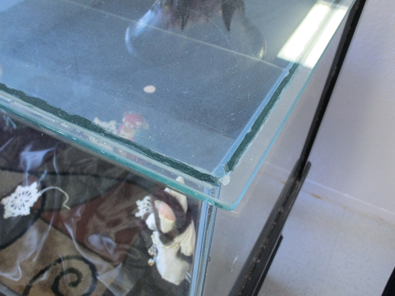 display case5.jpg