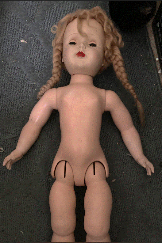 DOLL SCREEN SHOT - 1.gif