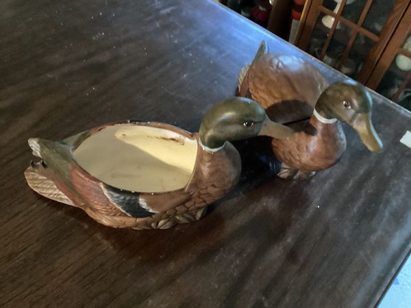 duck2.jpg