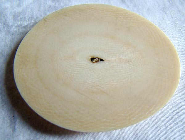 elephant ivory cross section 1.jpg