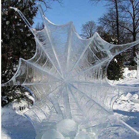 frozen web.jpg