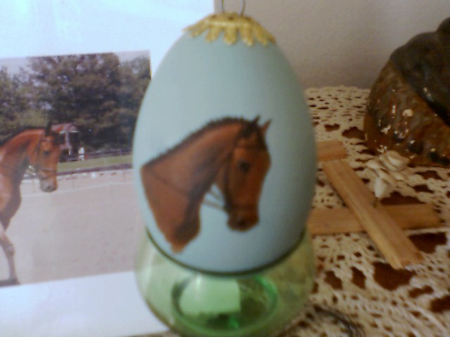 GOOSE EGG DRESSAGE.JPG