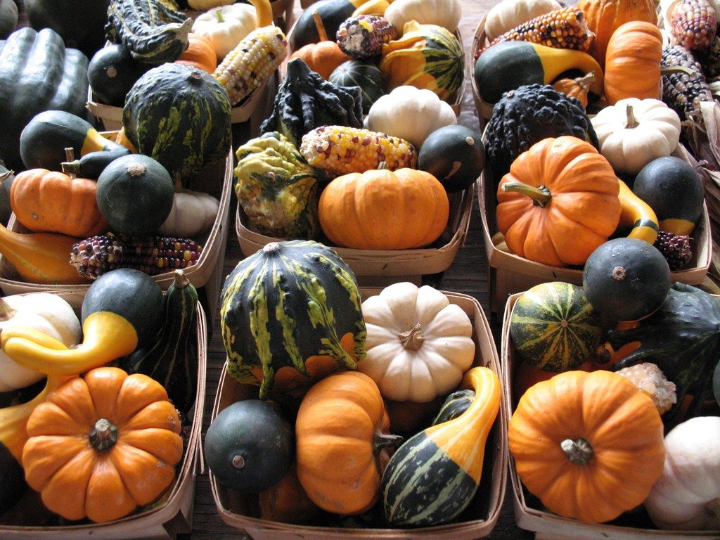 gourds1.jpg