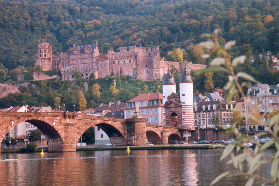 Heidelberg_castle and bridge.jpg