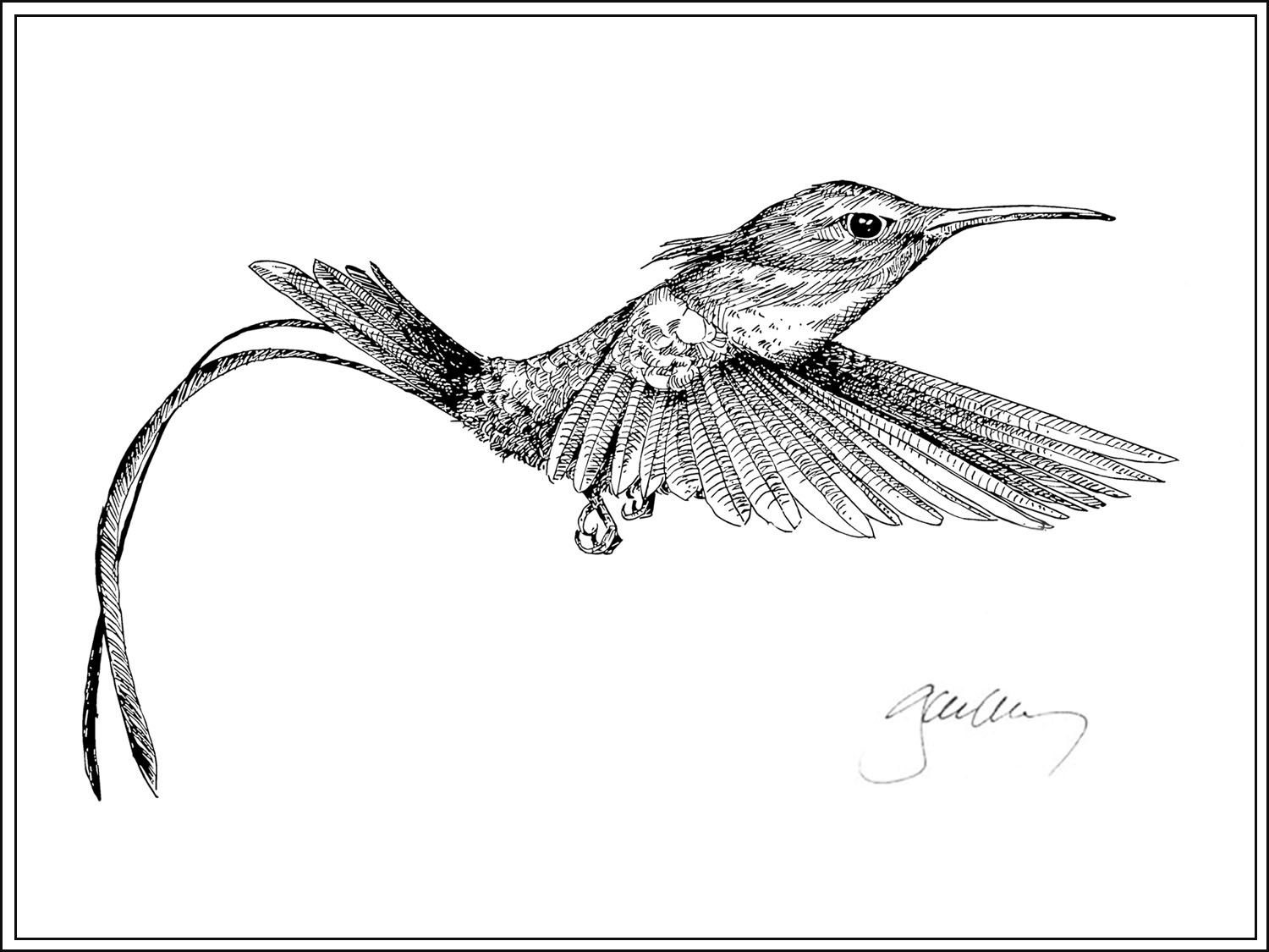 hummingbird complete border.jpg
