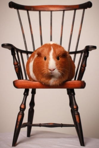 in chair.jpg