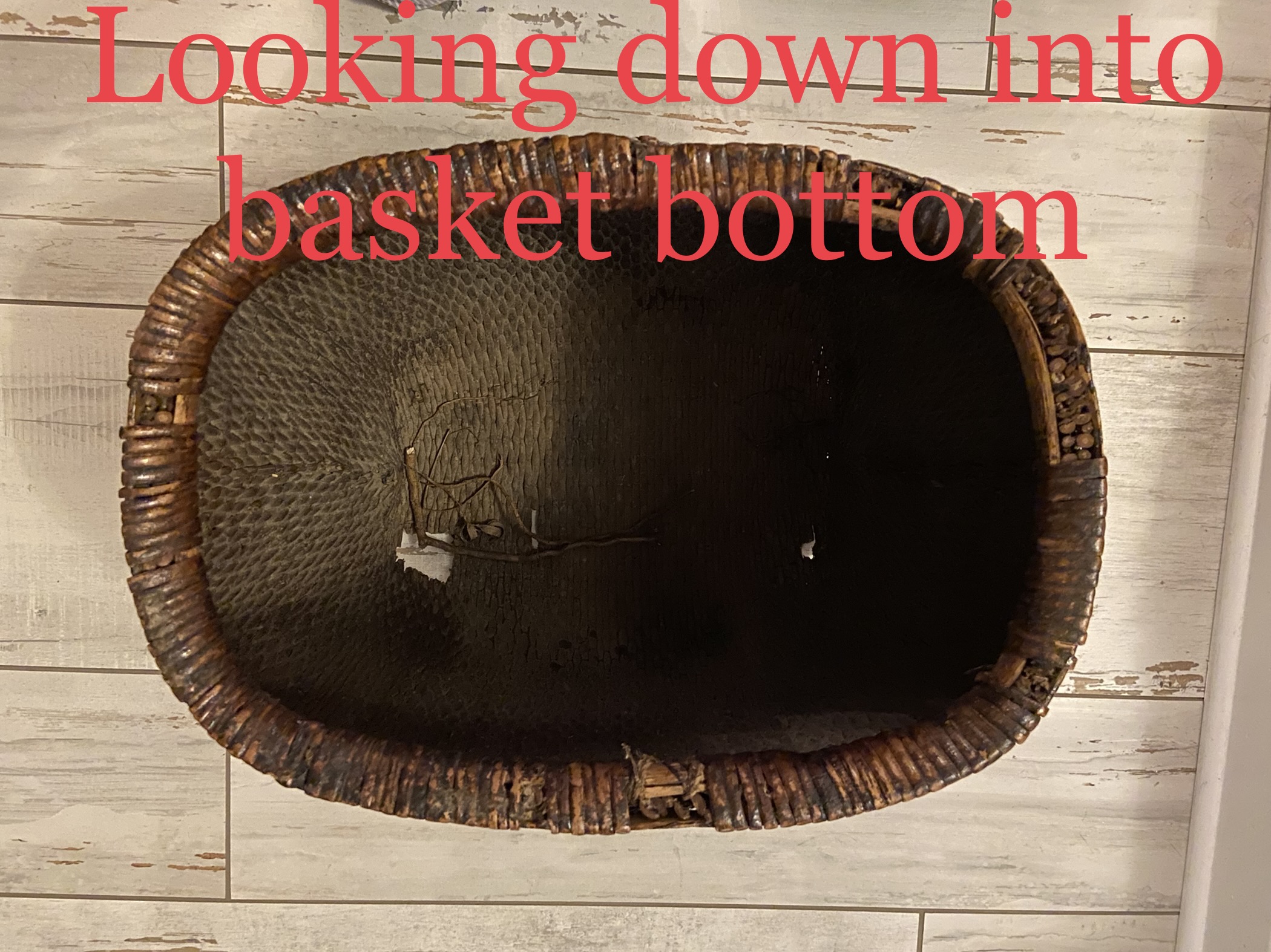 inside basket.jpg