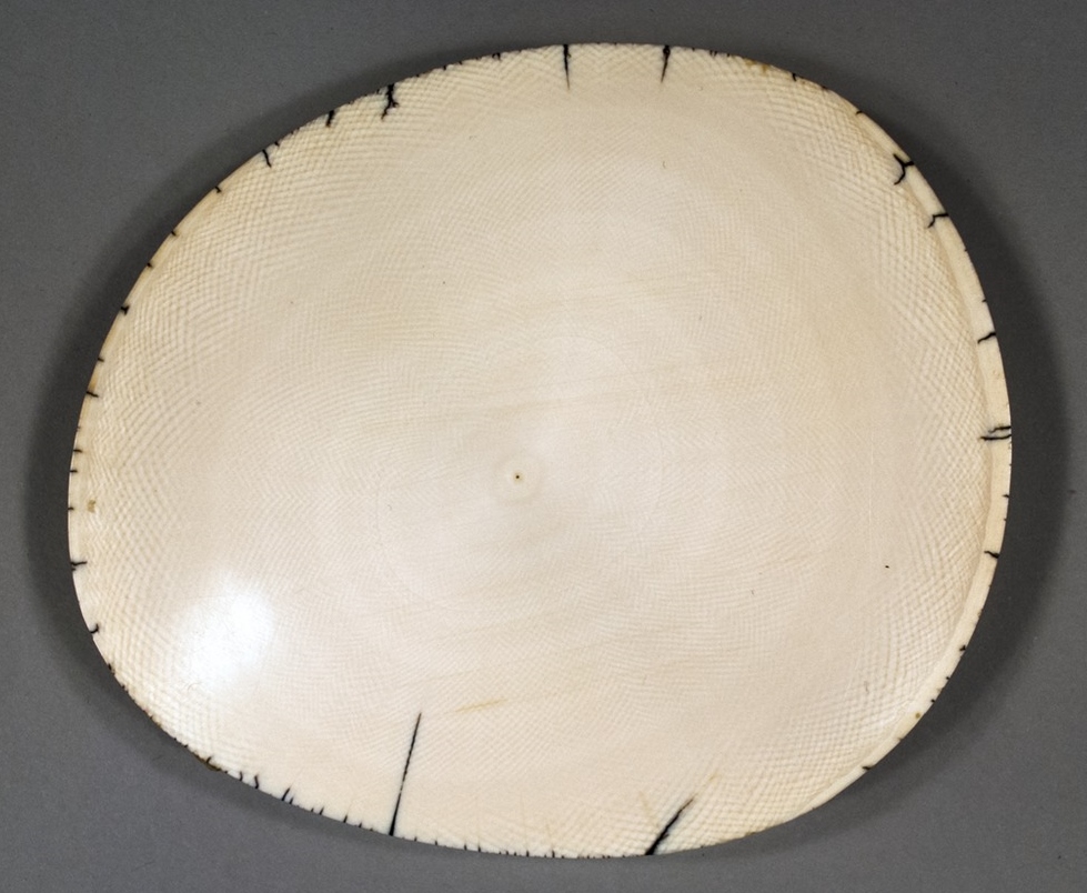 ivory cross section.jpg