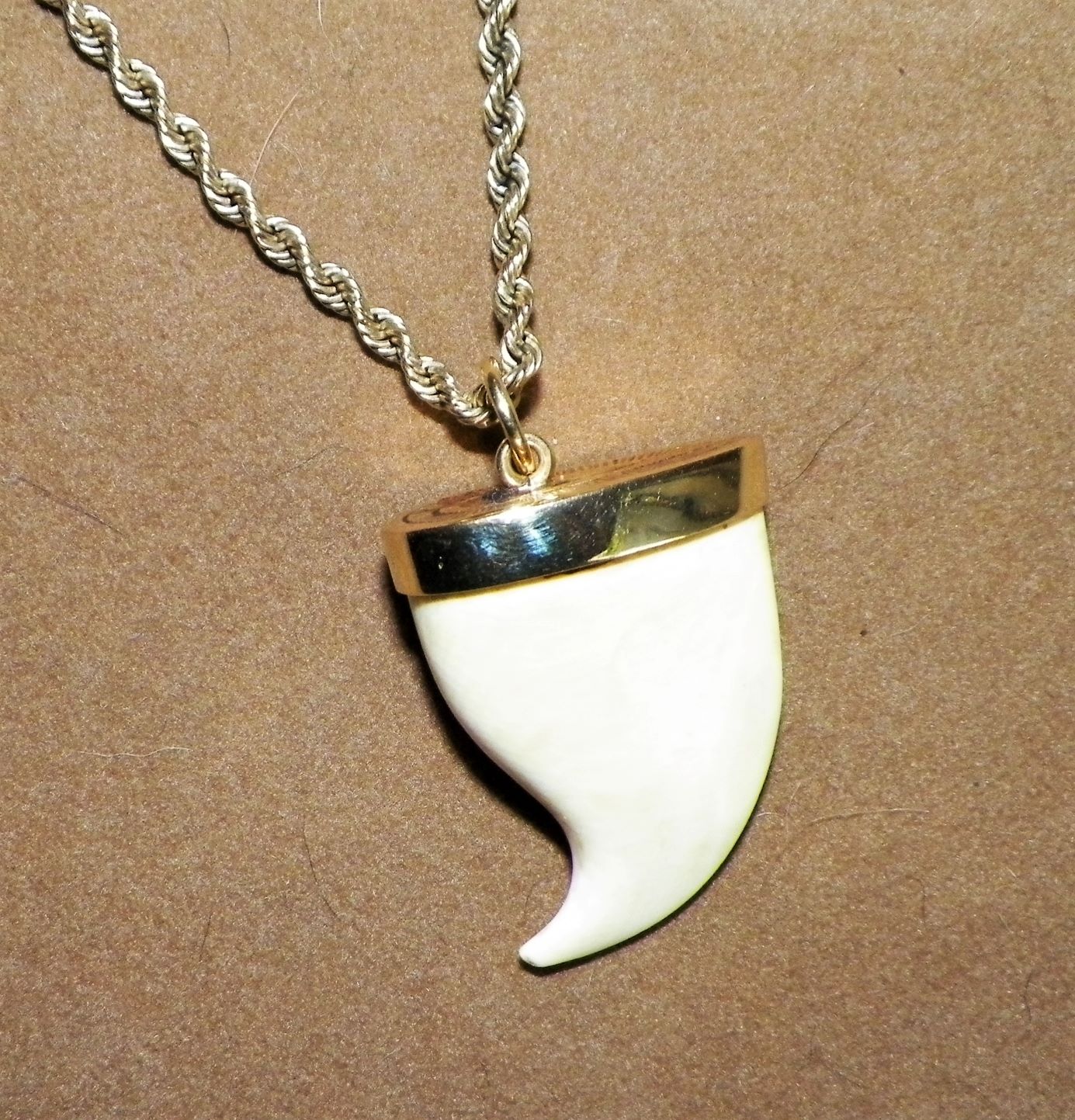 JEWELRY NECKLACE TOOTH SHARK 1CAA.JPG