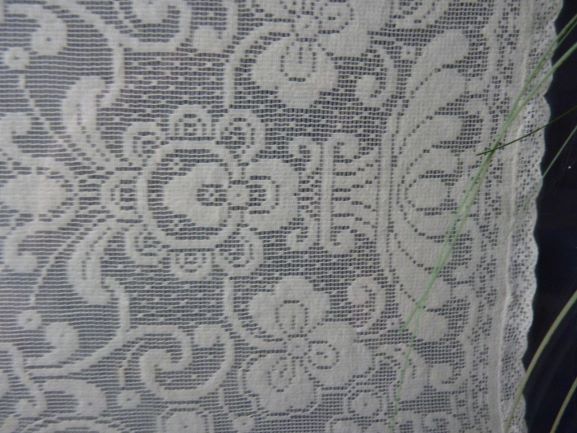 Lace detail 2.JPG