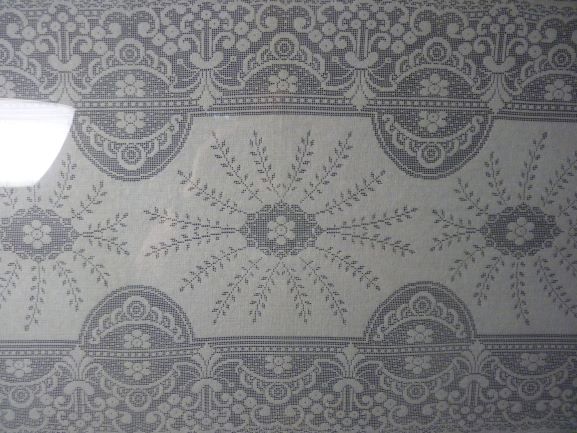 Lace detail 4.JPG