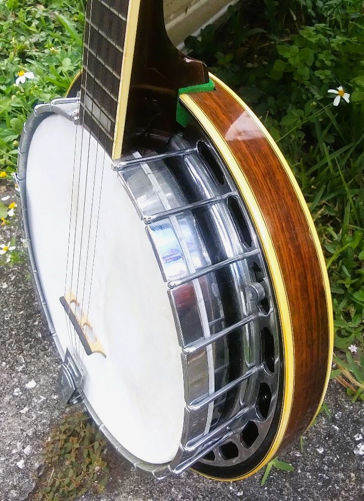 MUSIC BANJO ARITA 4DAAA SIDE VIEW 1ZZ.jpg