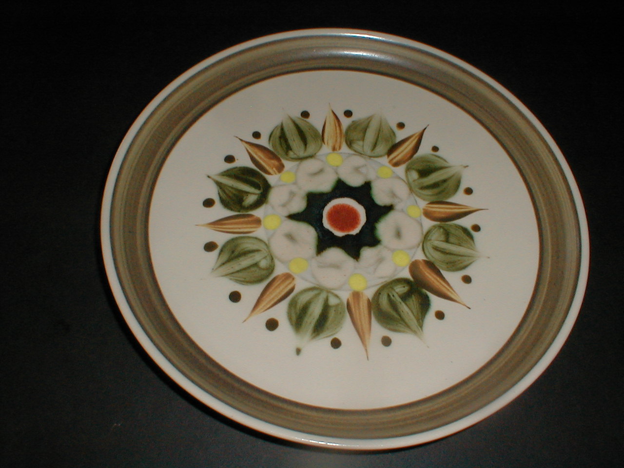 mystery plate green onion april 7 2019 012.JPG