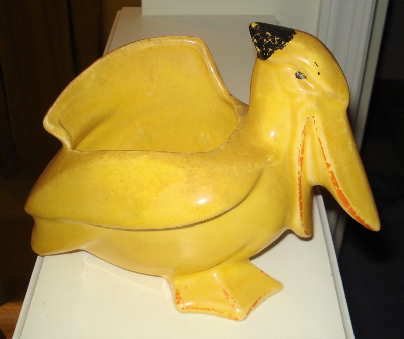 nelson mccoy pelican.jpg